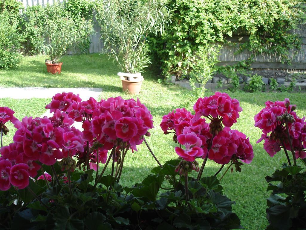 Liza Apartman Gyula Room photo